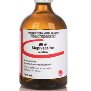 Mepivacaine Injection 100mL